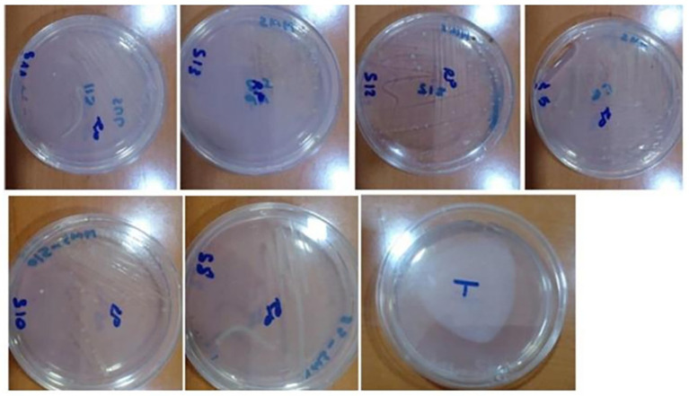 Figure 5
