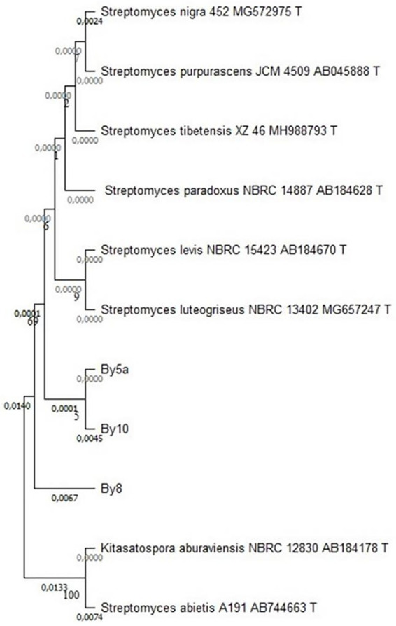 Figure 10