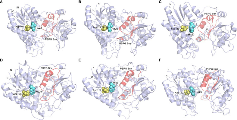 Figure 6