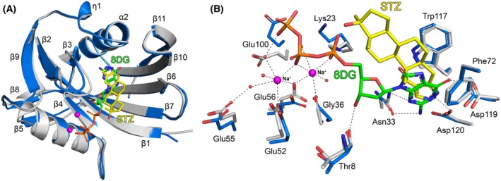 Figure 6