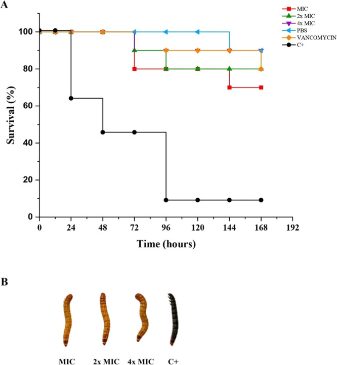 Figure 9