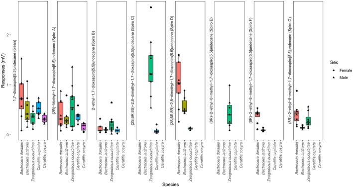 Figure 17