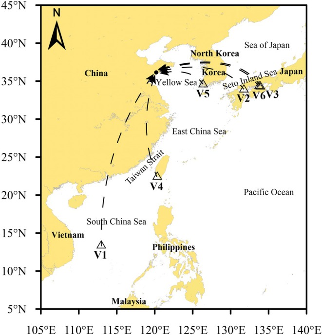 Figure 7