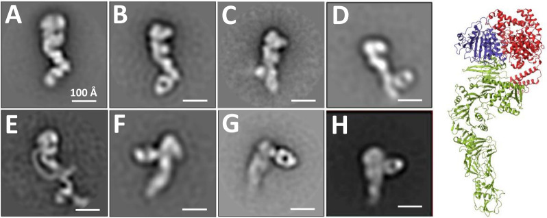 Fig 6