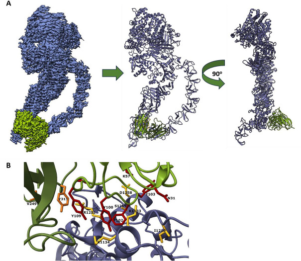 Fig 7