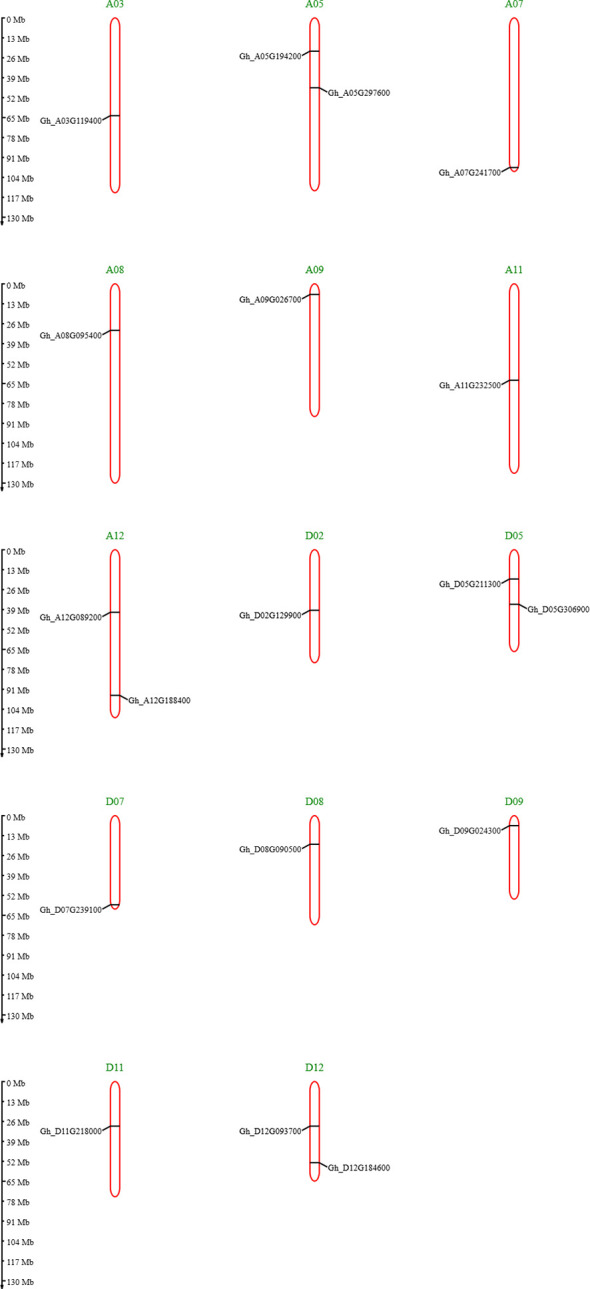 Figure 3