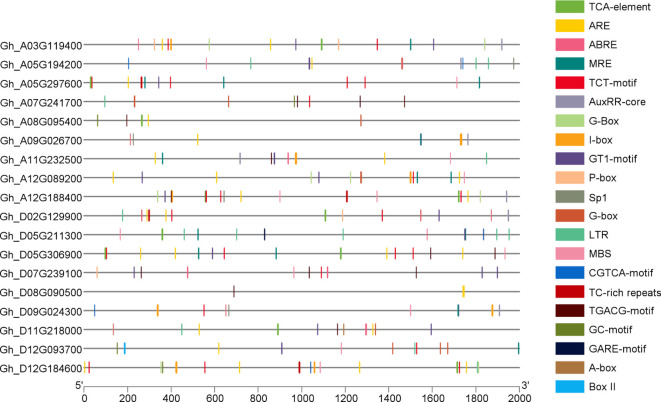 Figure 6