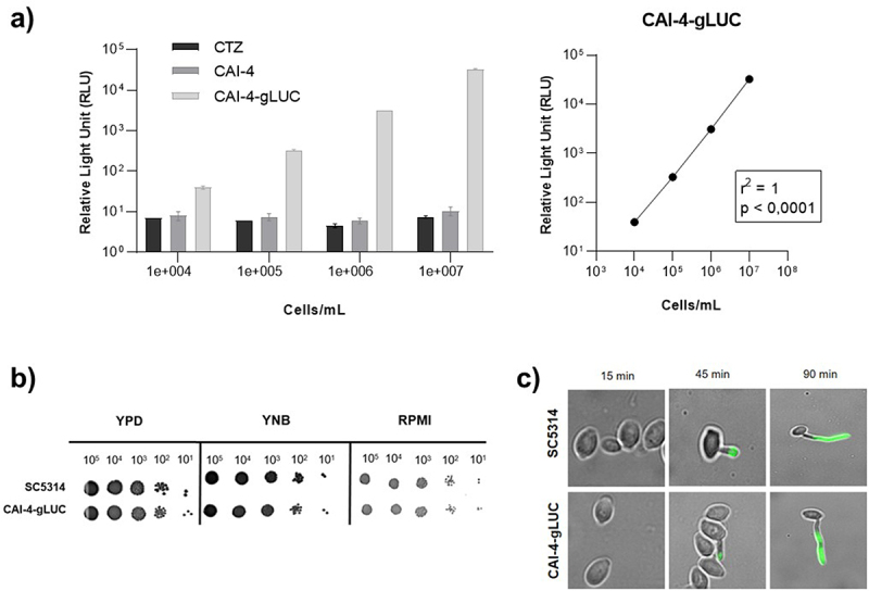 Figure 14