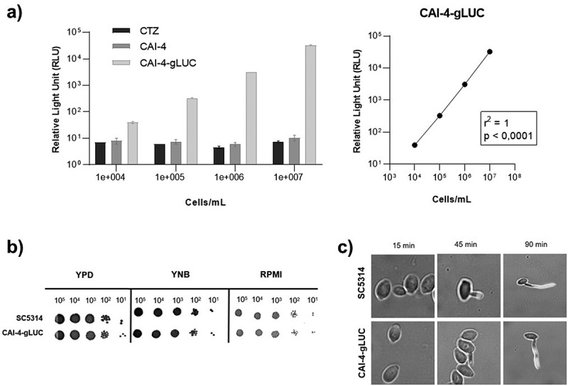 Figure 15