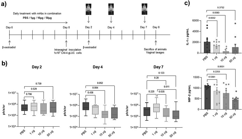 Figure 17