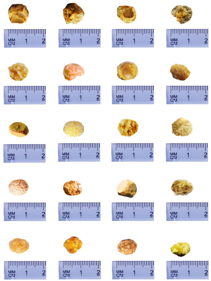 Fig 3