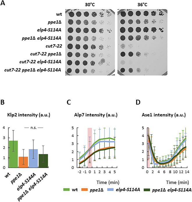 Fig 4