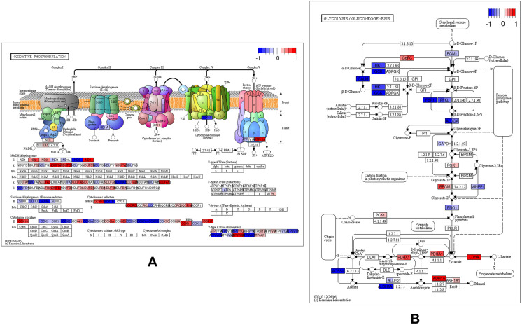 Fig 6