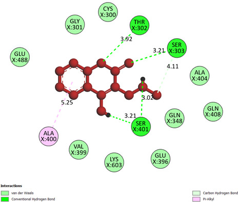Figure 11