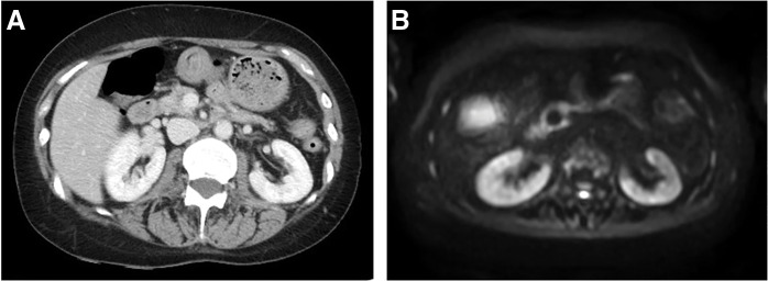 Fig. 6