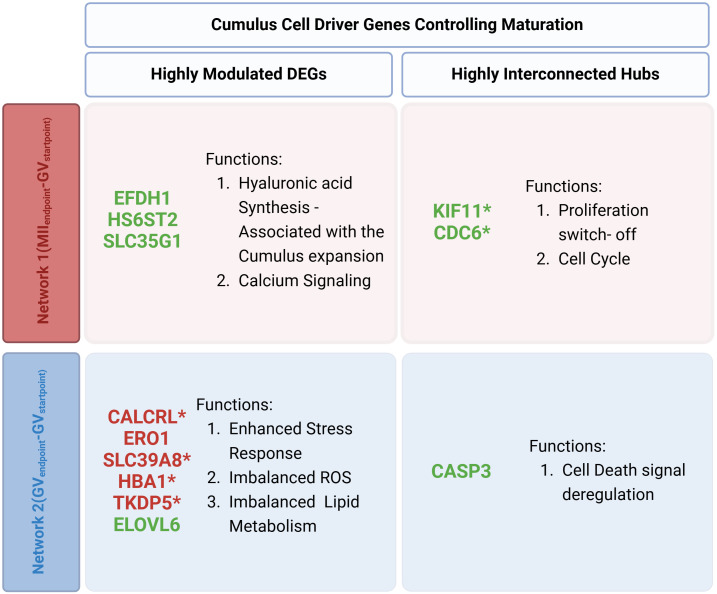 Figure 5