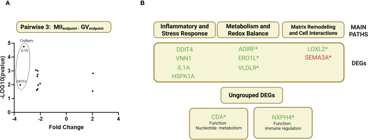 Figure 6