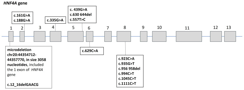 Figure 1
