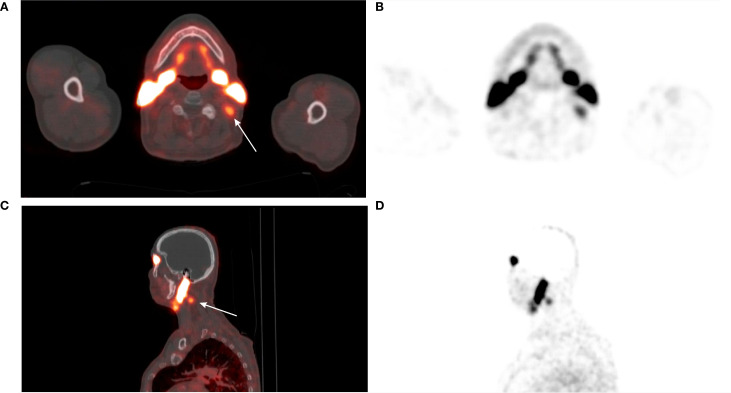 Figure 4