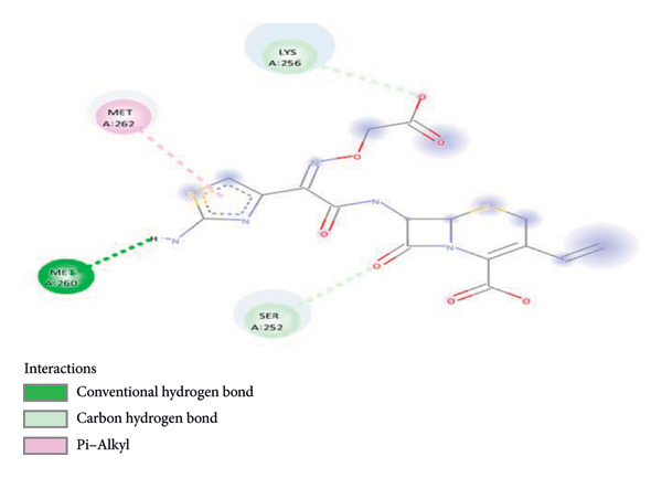 Figure 4