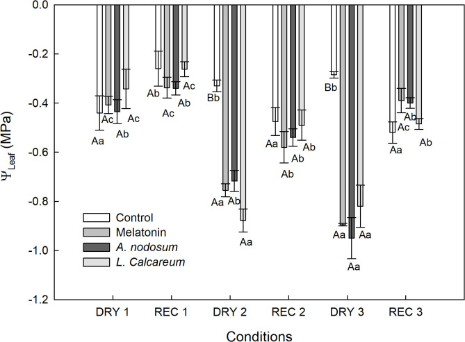 Figure 2