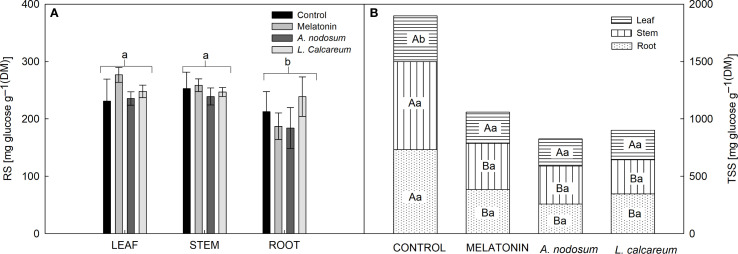 Figure 5