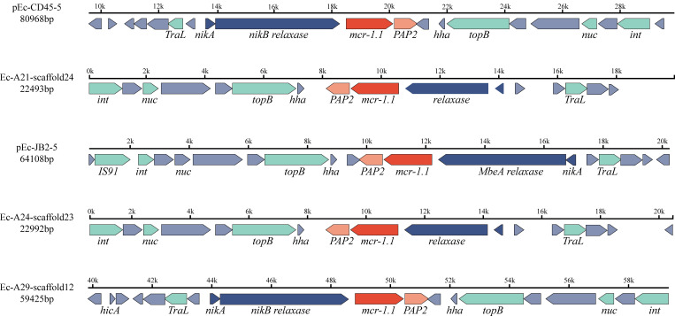 Figure 4