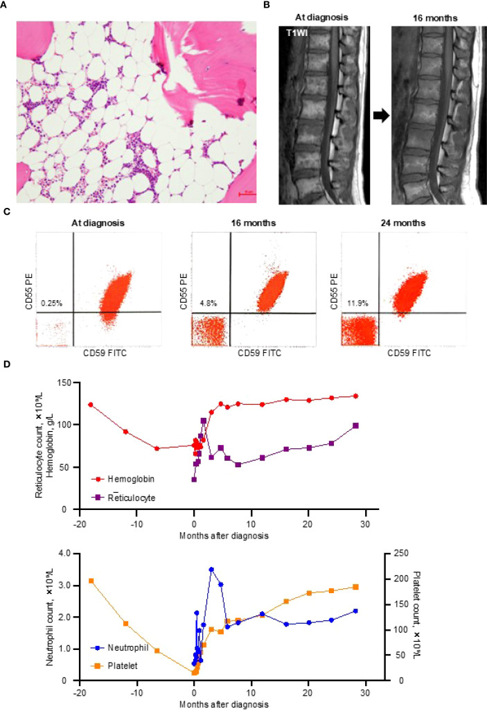 Figure 1