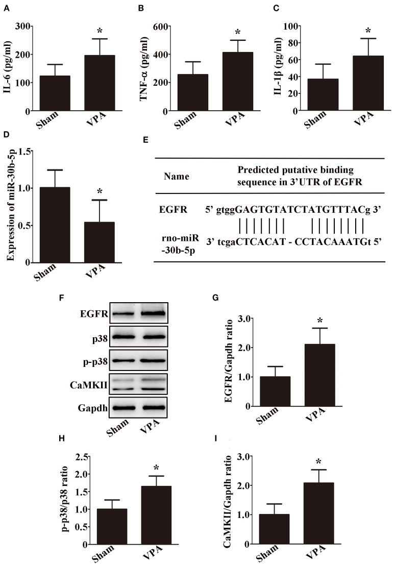 Figure 5