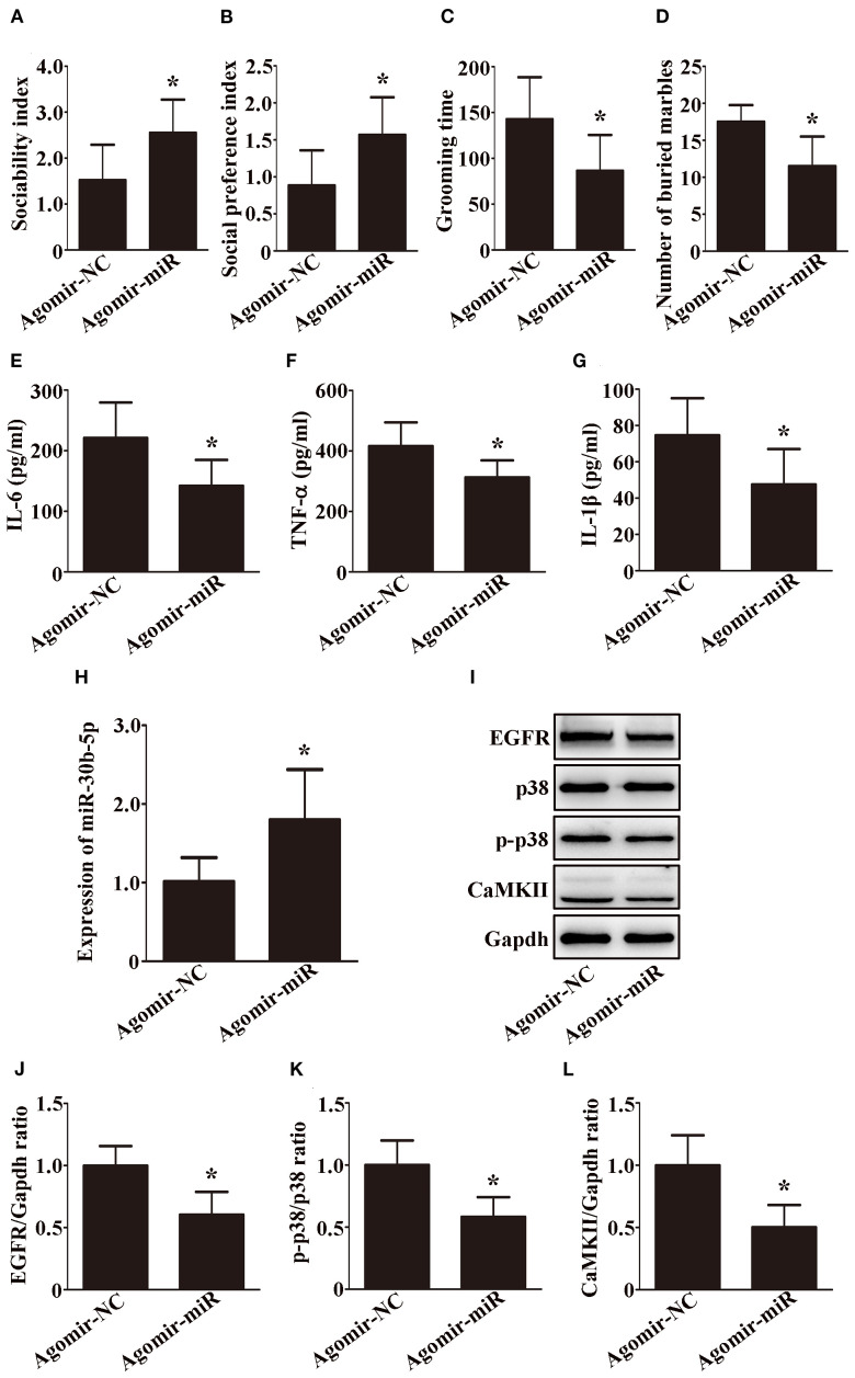 Figure 6