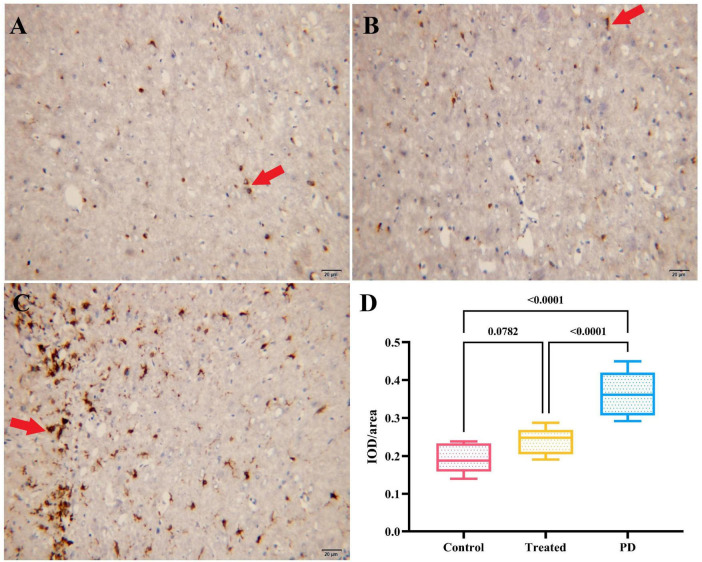 FIGURE 4