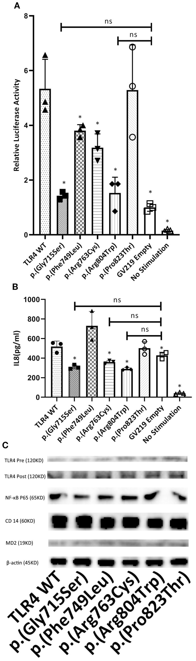 Figure 3
