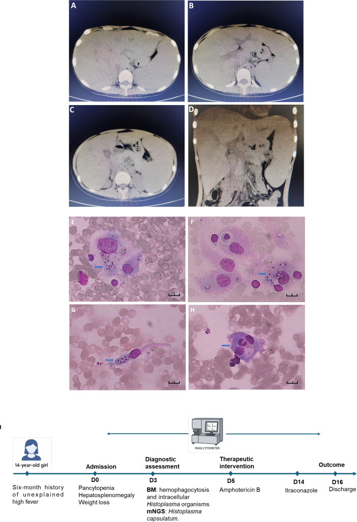 Figure 1