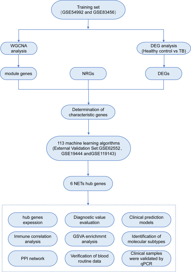 Figure 1