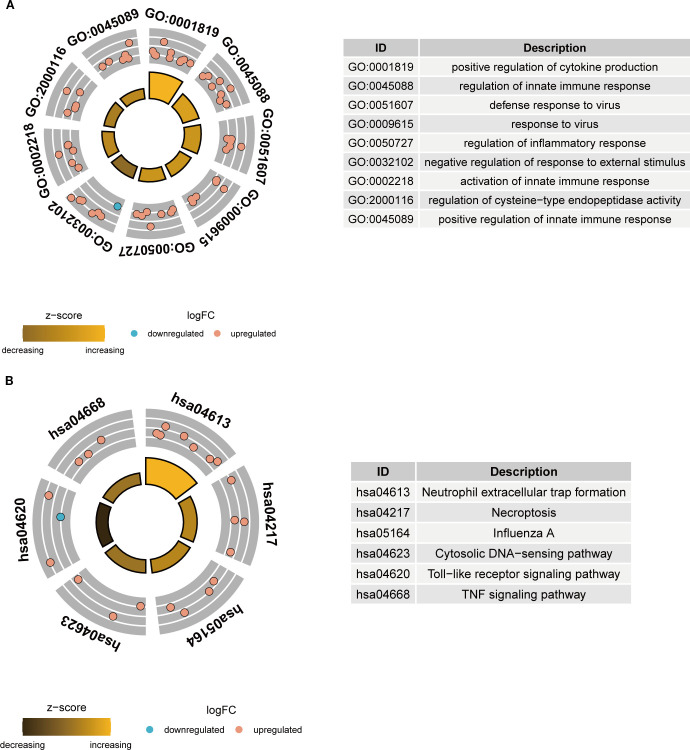 Figure 4