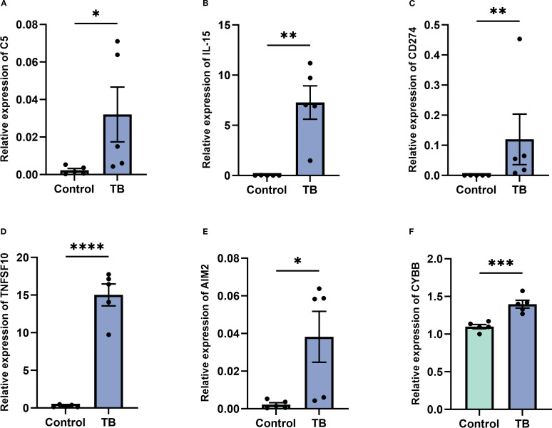Figure 11