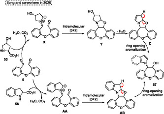 Figure 36