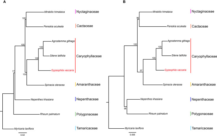 Figure 7