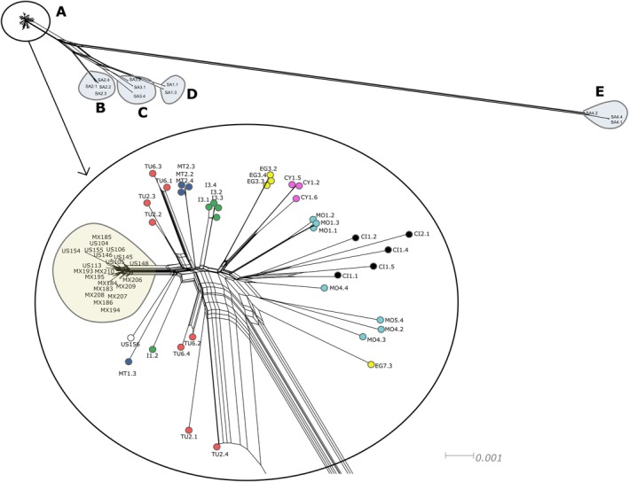 Figure 6