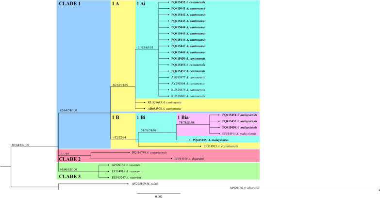 Figure 2