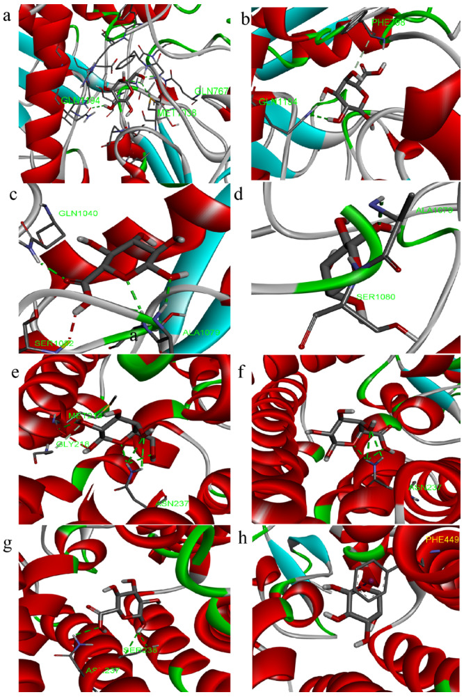 Figure 7