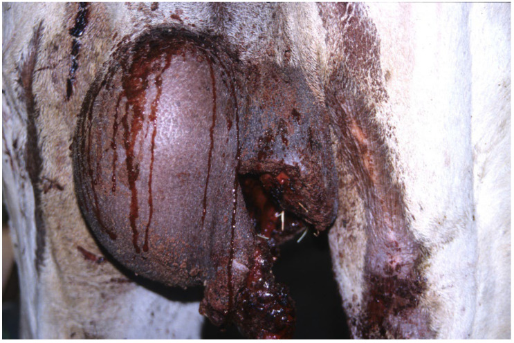Figure 14