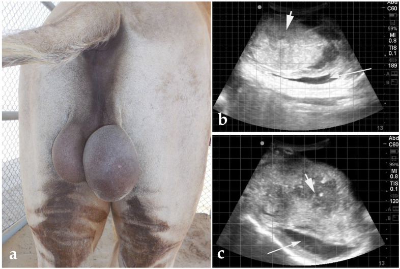Figure 16