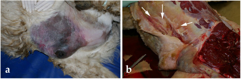 Figure 18
