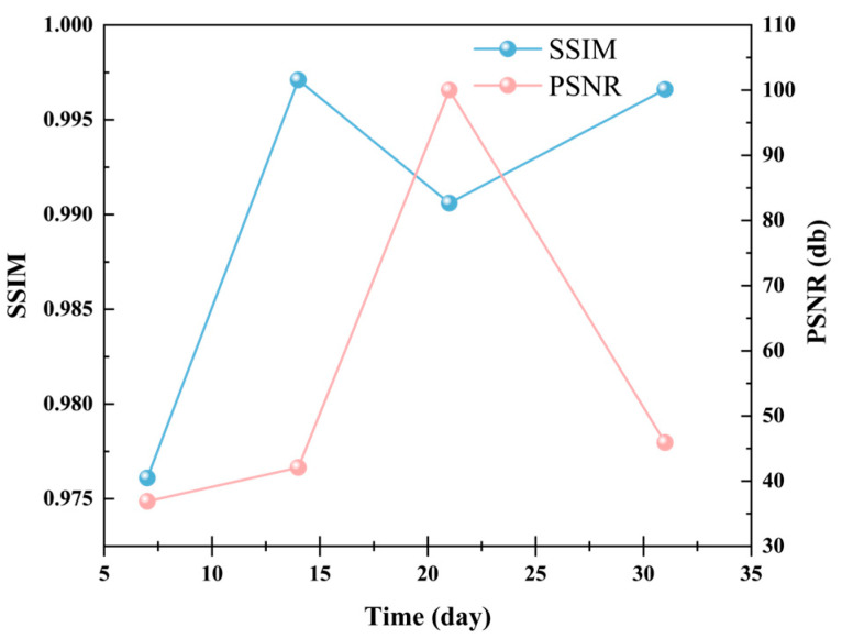 Figure 10