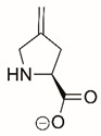 Figure 20