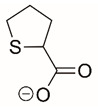 Figure 24