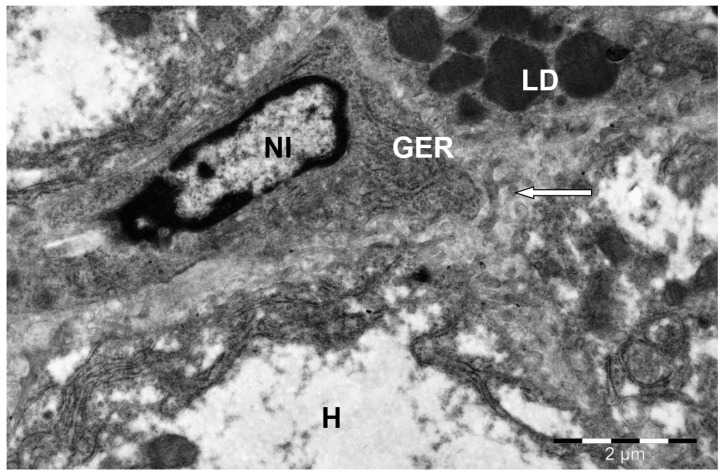 Figure 9