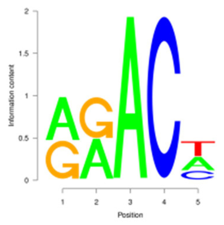 Figure 9