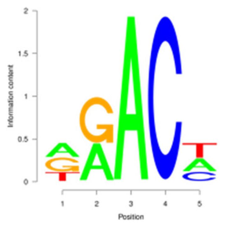 Figure 10